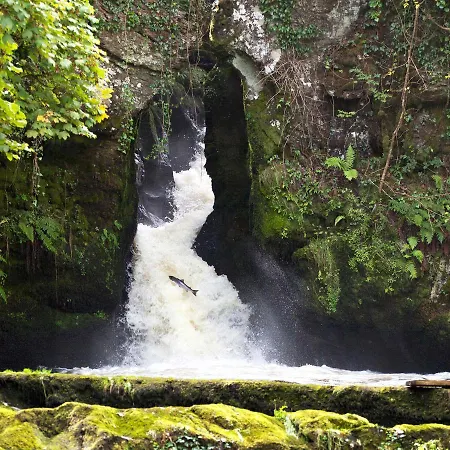 The Bay Отель типа 