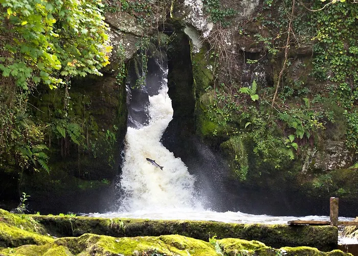 The Bay Nocleg ze śniadaniem 2*